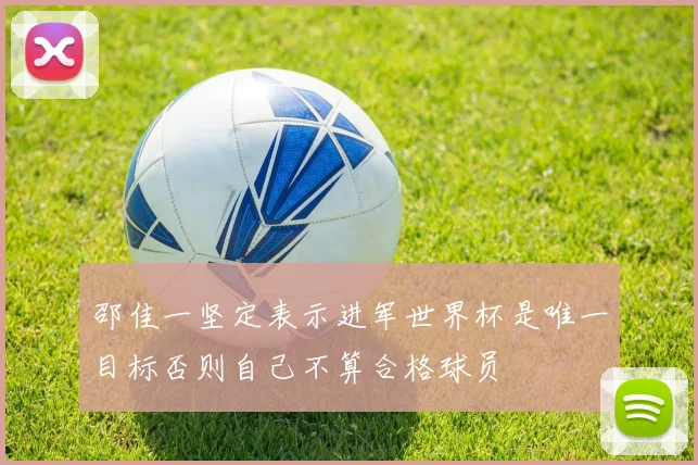 邵佳一坚定表示进军世界杯是唯一目标否则自己不算合格球员