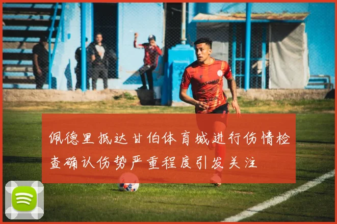 佩德里抵达甘伯体育城进行伤情检查确认伤势严重程度引发关注