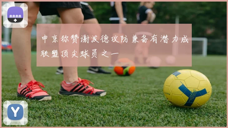 申京称赞谢泼德攻防兼备有潜力成联盟顶尖球员之一