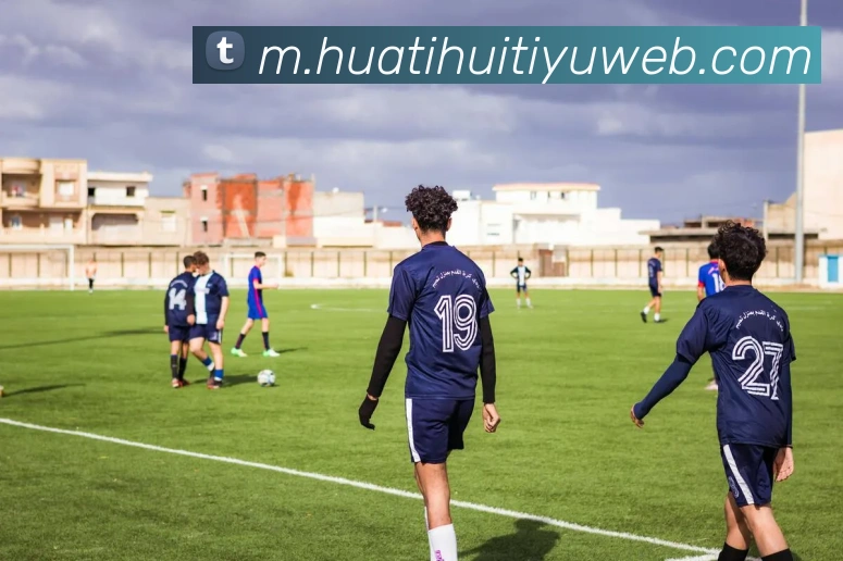 华体会体育平台生态图