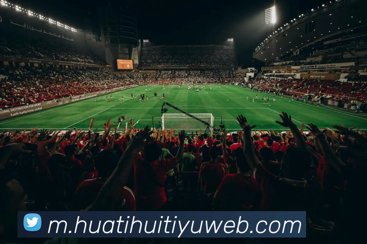 华体会体育APP 封面图