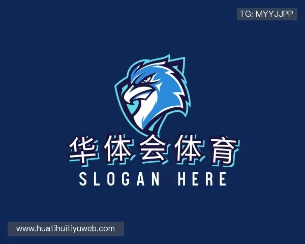 关于华体会体育